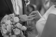 Свадебное фото. Изображение 45575