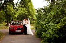 Автомобили для свадьбы. Изображение 46305