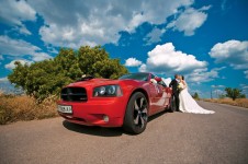 Автомобили для свадьбы. Изображение 46301