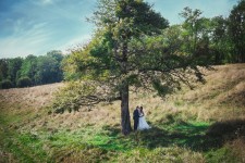 Wedding. Изображение 4154