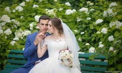 свадьба. Изображение 46551