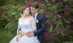 свадьба. Изображение 46562