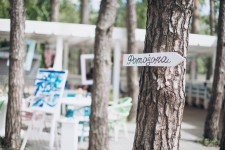 Небесно-голубая свадьба. Изображение 47088 Небесно-голубая свадьба. Изображение 47088