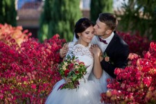 Свадебный день.. Изображение 47117