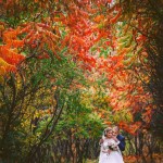 Свадьба в Украине . Изображение 48094