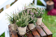 Оформление свадеб. Изображение 48308