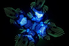 Пиксельное шоу. Изображение 48408