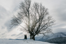 Wedding. Изображение 48938 Wedding. Изображение 48938