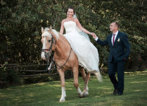 Свадебная фотография. Изображение 49034