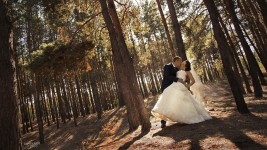 Свадебная фотография. Изображение 49036