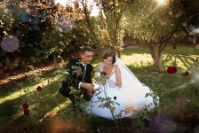 Свадебная фотография. Изображение 49095