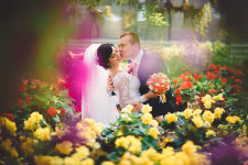 Весільні фотографії. Изображение 49118