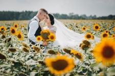 wedding. Изображение 49467