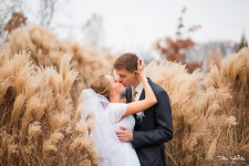 Свадебная сьемка. Изображение 4468