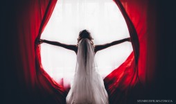 Свадебные фотографии. Изображение 49818