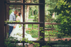 Свадебные фотографии. Изображение 49815