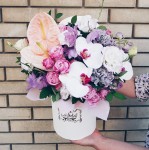 Мои работы. Изображение 50349