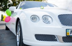 Wedding Day 2. Изображение 50689