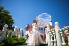 Wedding Day  Margarita &  Artem. Изображение 50702