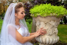 Свадьба Марины и Виктора 2018. Изображение 51439