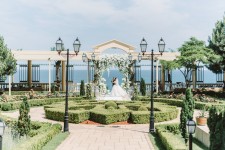 Alexey and Anastasia Wedding . Изображение 51602