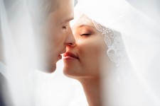 Портфолио. Изображение 51660