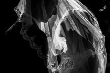 Портфолио. Изображение 51659