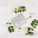 Запрошення 2. Изображение 51911