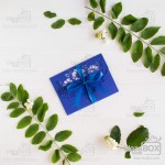 Запрошення 2. Изображение 51919