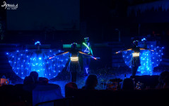 Шоу бабочек и световое шоу. Изображение 52244