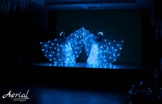 Шоу бабочек и световое шоу. Изображение 52257