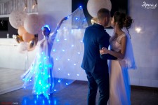 Шоу бабочек и световое шоу. Изображение 52258