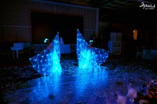 Шоу бабочек и световое шоу. Изображение 52255