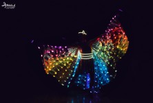 Шоу бабочек и световое шоу. Изображение 52251