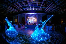 Шоу бабочек и световое шоу. Изображение 52256