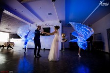 Шоу бабочек и световое шоу. Изображение 52254