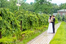 Свадебный. Изображение 307