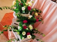 Президиум молодых . Изображение 52642