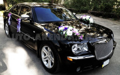 Каталог. Изображение 52650