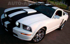 Каталог. Изображение 52651