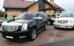 Каталог. Изображение 52649