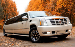 Каталог. Изображение 52657