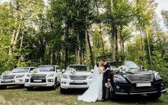 Каталог. Изображение 52659