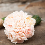 Букет невесты. Изображение 52672