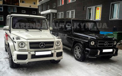 Каталог. Изображение 52706