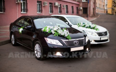 Каталог. Изображение 52700