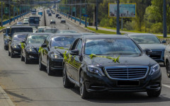 Каталог. Изображение 52719