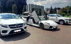 Каталог. Изображение 52729