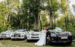 Каталог. Изображение 52720