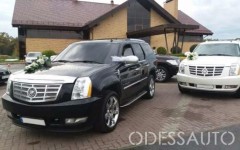 Каталог. Изображение 52721